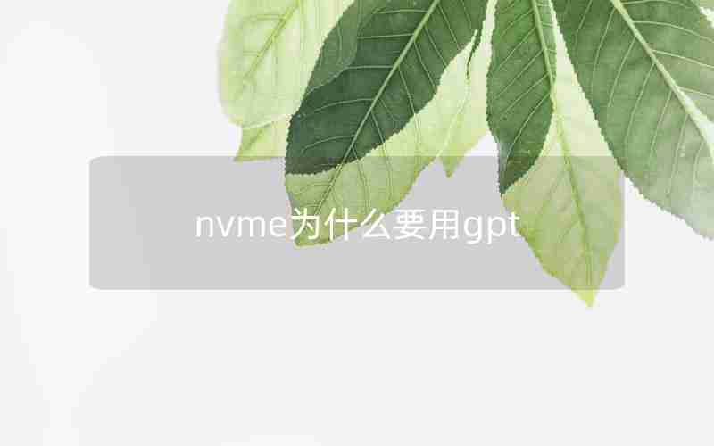 nvme为什么要用gpt nvme为什么要用gpt