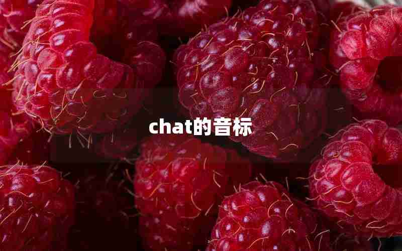 chat的音标 chat的音标