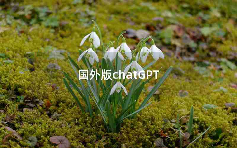 国外版chatGPT