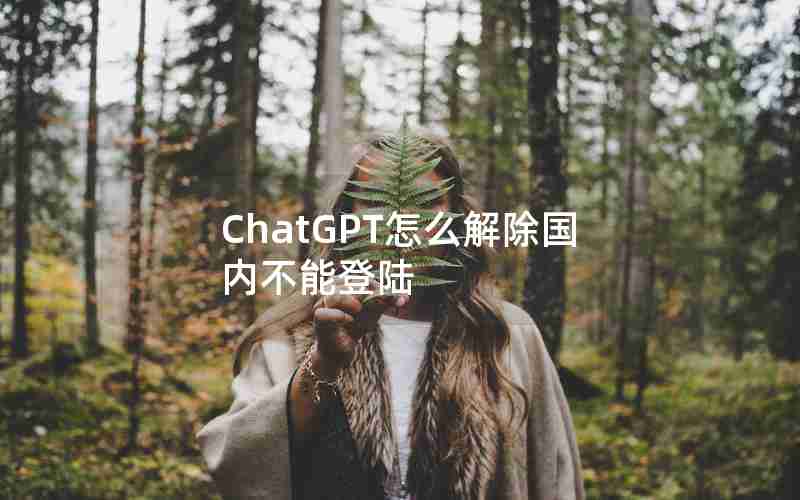 ChatGPT怎么解除国内不能登陆