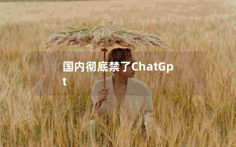 国内彻底禁了ChatGpt 国内彻底禁了ChatGpt