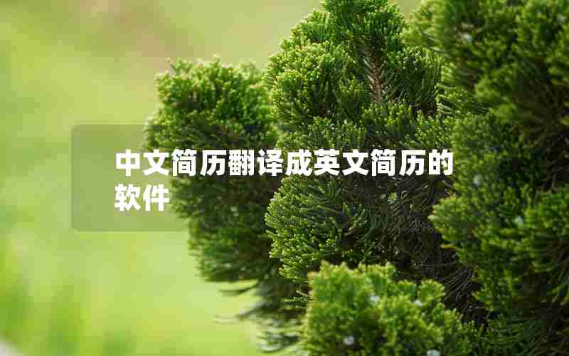 中文简历翻译成英文简历的软件