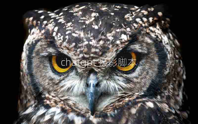 chatgpt 摄影脚本