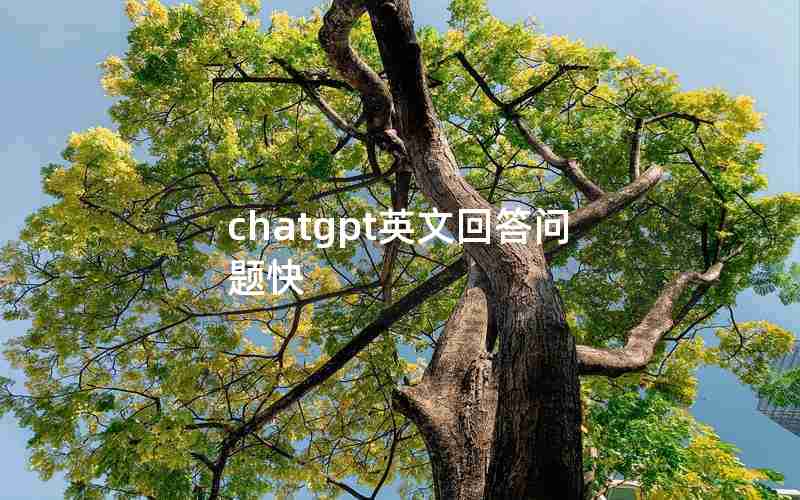 chatgpt英文回答问题快 chatgpt英文回答问题快