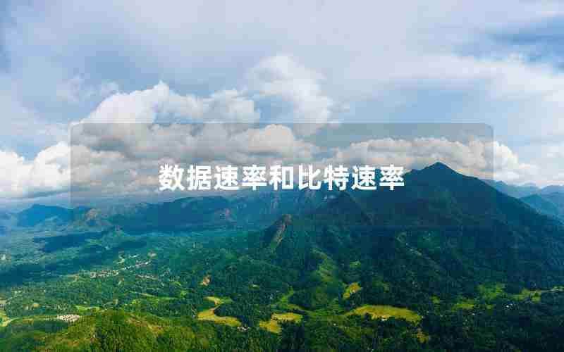 数据速率和比特速率