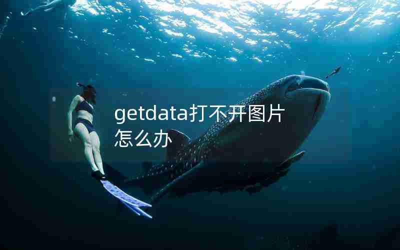 getdata打不开图片怎么办
