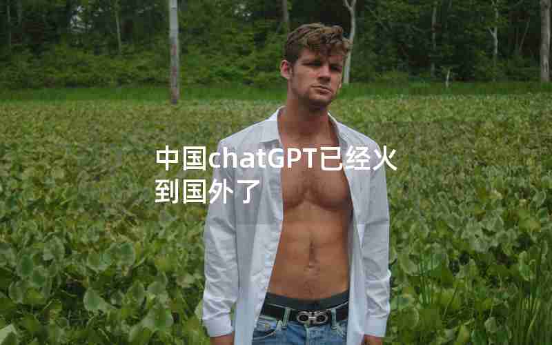 中国chatGPT已经火到国外了