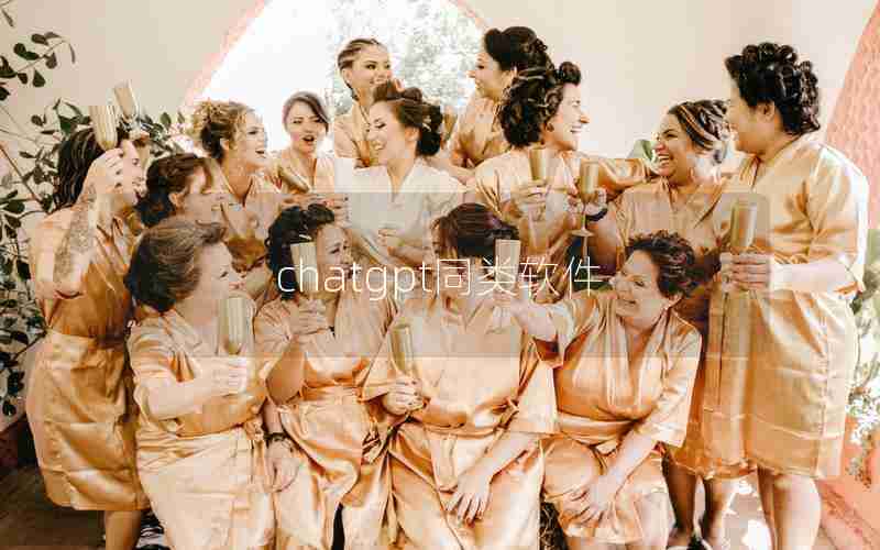 chatgpt同类软件