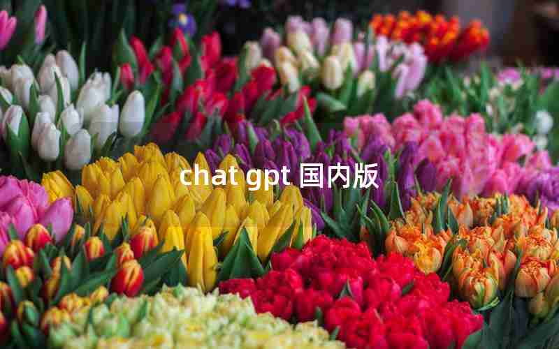 chat gpt 国内版