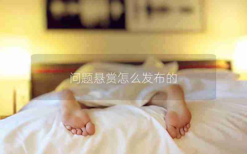 问题悬赏怎么发布的
