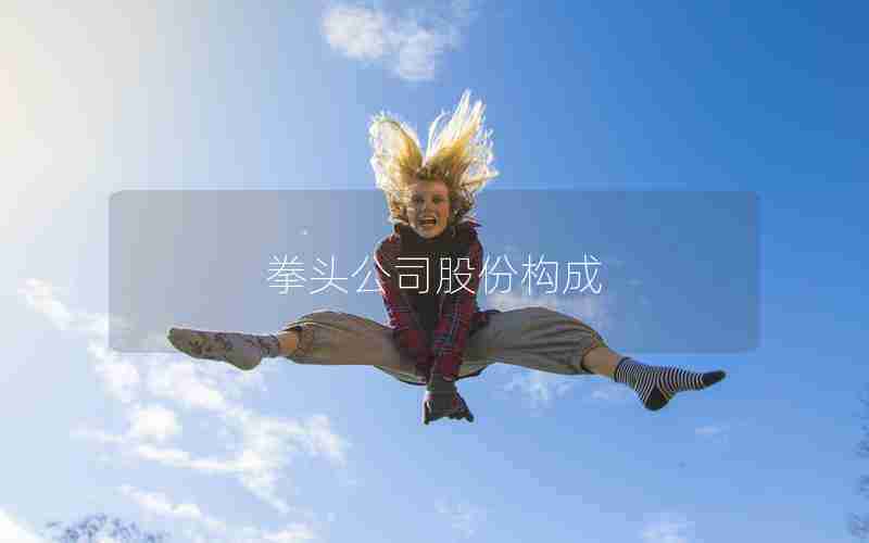 拳头公司股份构成