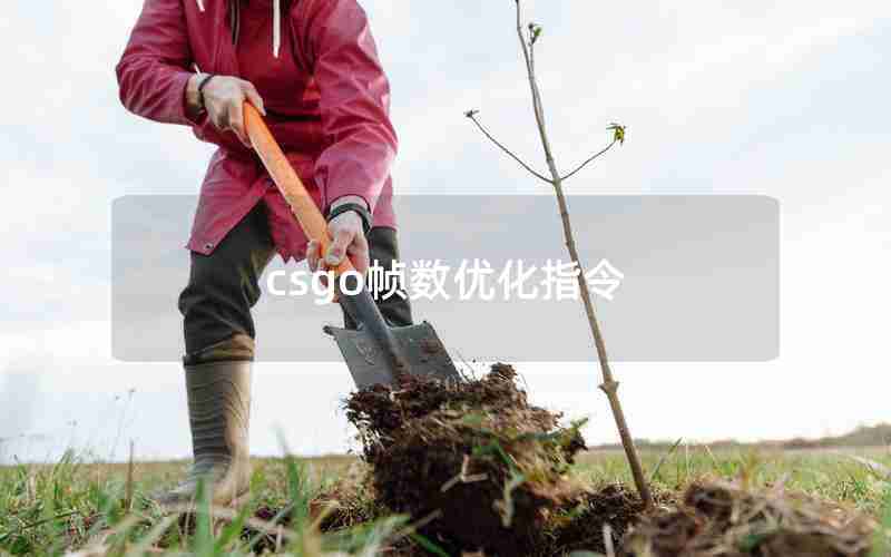csgo帧数优化指令