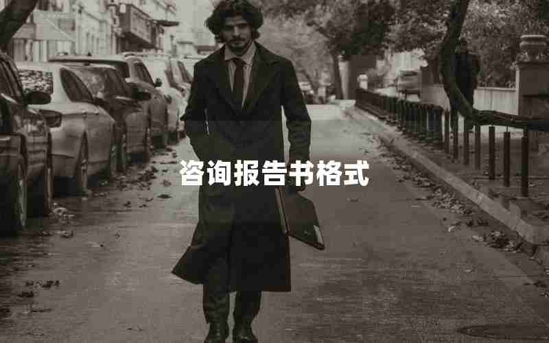 咨询报告书格式 咨询报告书格式