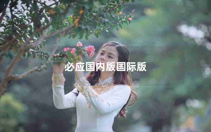 必应国内版国际版 必应国内版国际版