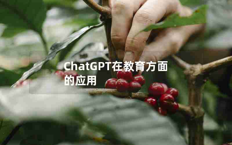 ChatGPT在教育方面的应用 ChatGPT在教育方面的应用