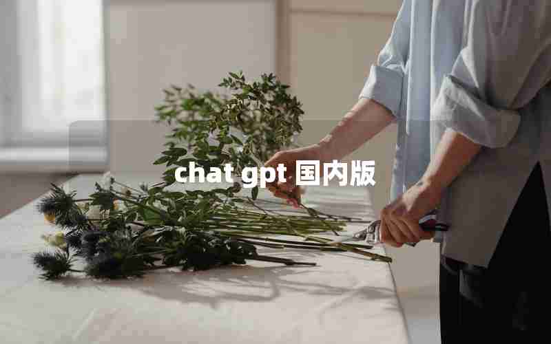 chat gpt 国内版 chat gpt 国内版