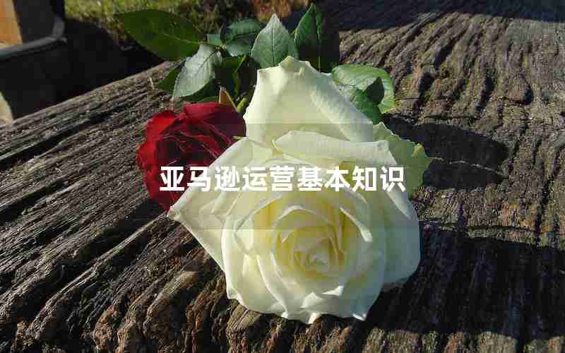 亚马逊运营基本知识