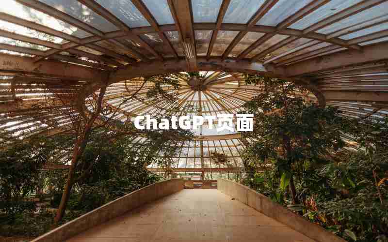 ChatGPT页面 ChatGPT页面
