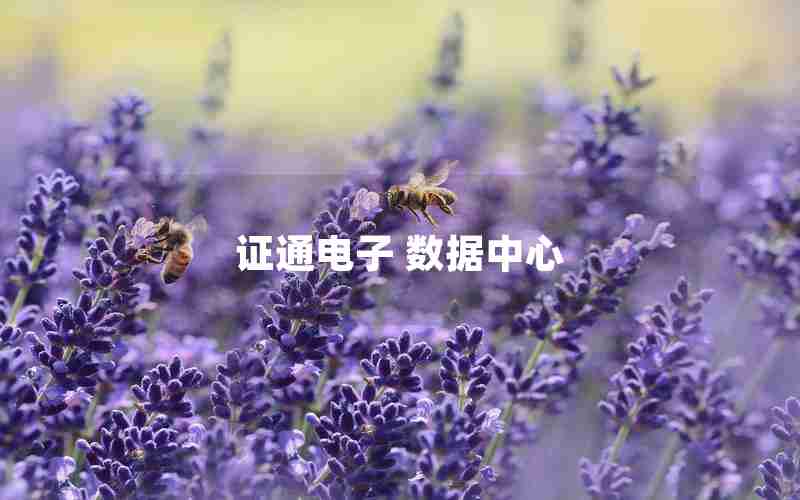 证通电子 数据中心 证通电子 数据中心