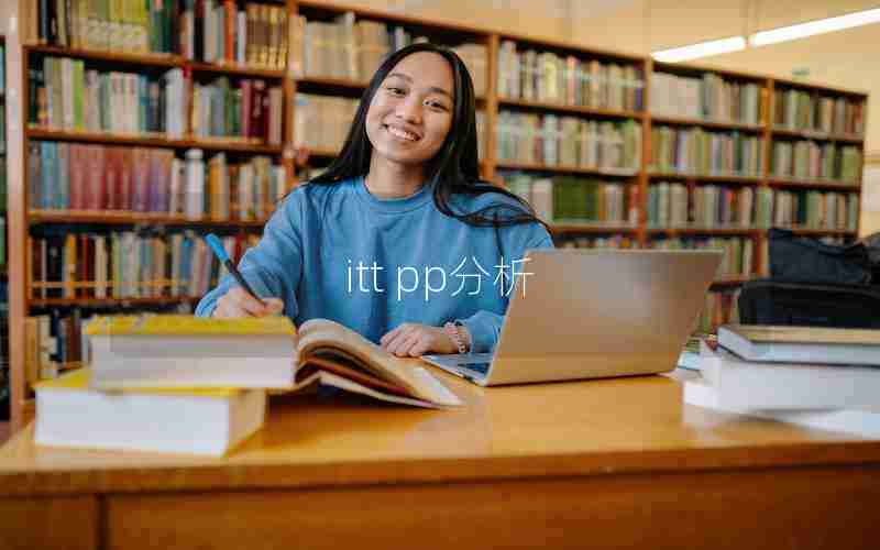 itt pp分析 itt pp分析