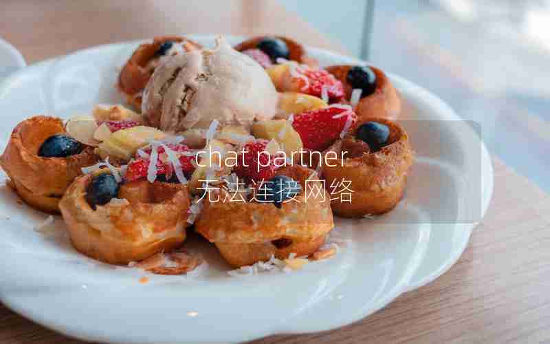 chat partner无法连接网络 chat partner无法连接网络