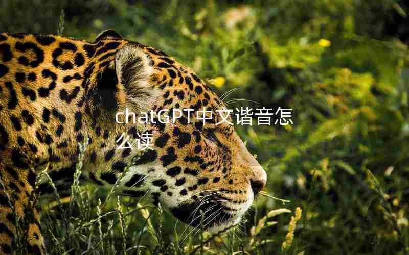 chatGPT中文谐音怎么读 chatGPT中文谐音怎么读