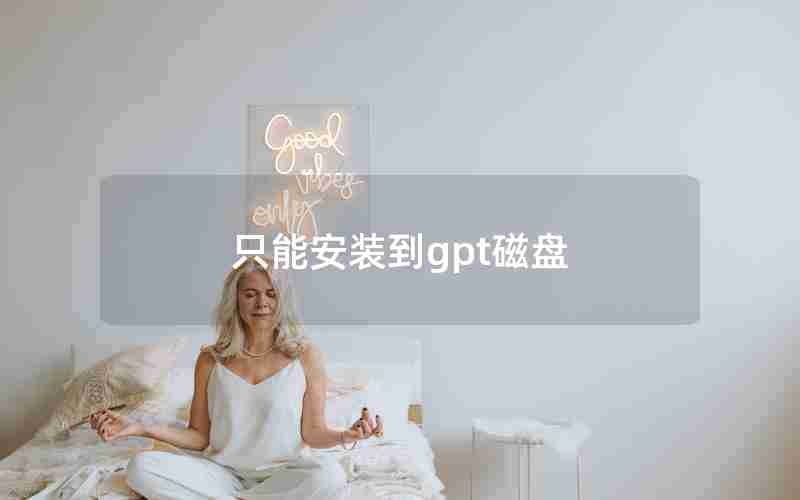 只能安装到gpt磁盘