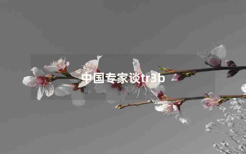 中国专家谈tr3b 中国专家谈tr3b