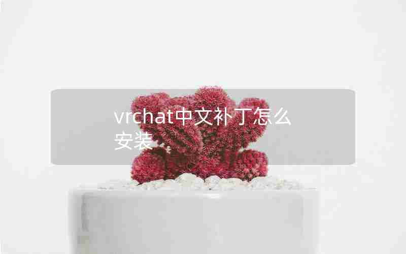 vrchat中文补丁怎么安装 vrchat中文补丁怎么安装