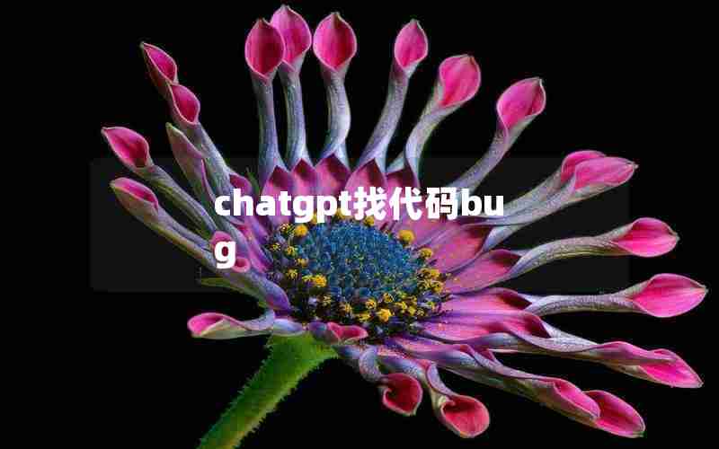 chatgpt找代码bug
