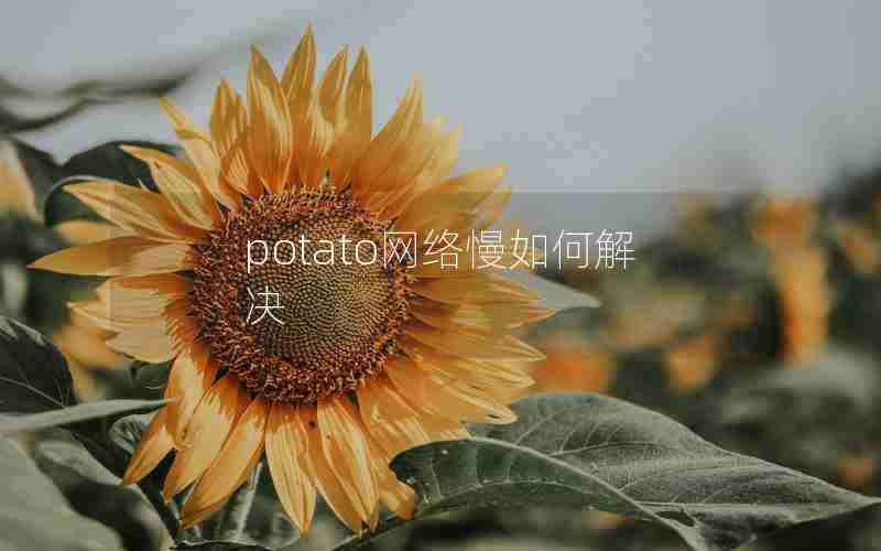 potato网络慢如何解决 potato网络慢如何解决