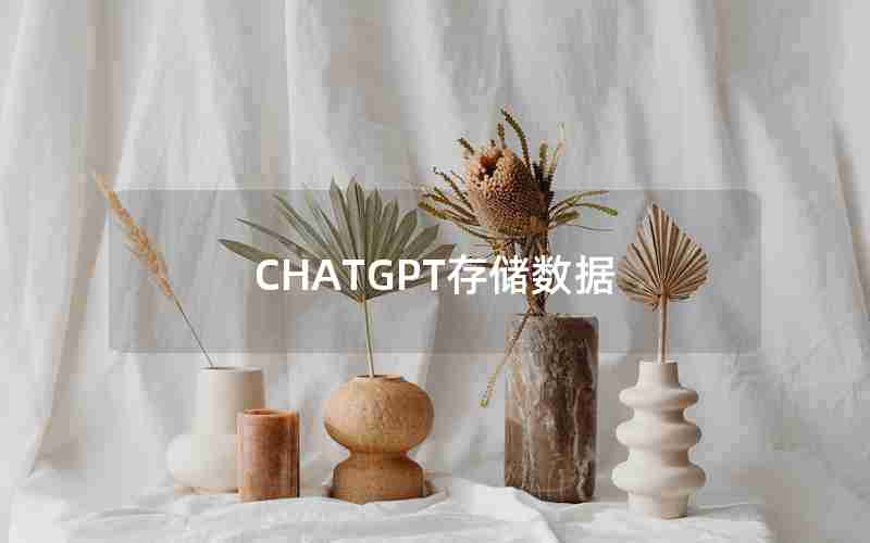 CHATGPT存储数据 CHATGPT存储数据