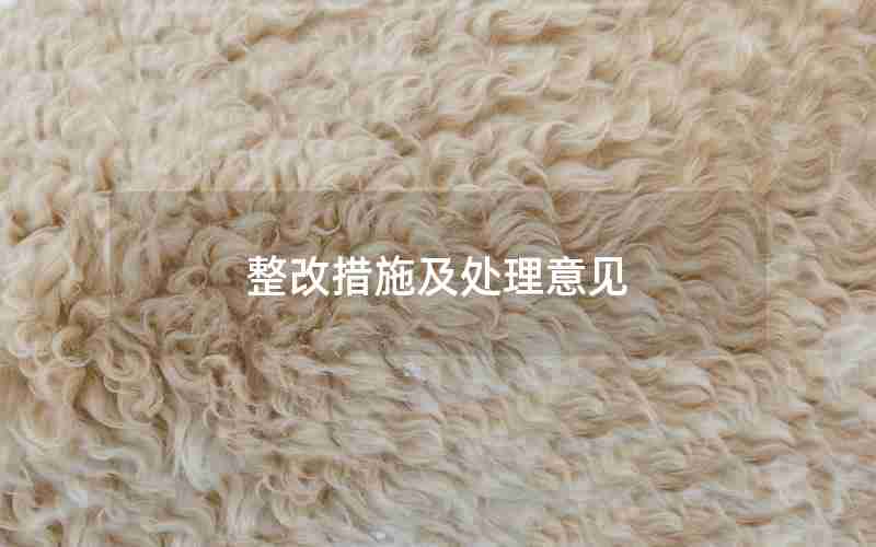 整改措施及处理意见 整改措施及处理意见