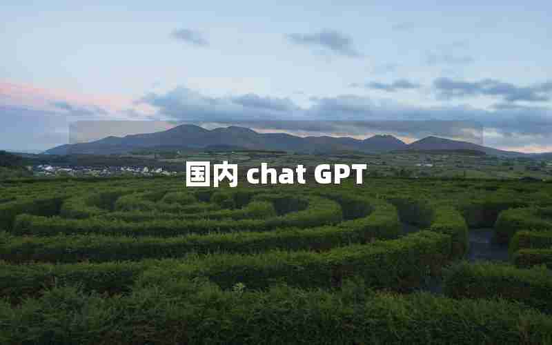 国内 chat GPT
