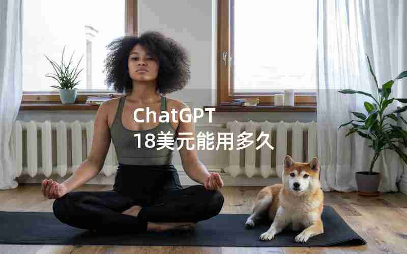 ChatGPT 18美元能用多久 ChatGPT 18美元能用多久