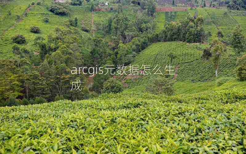 arcgis元数据怎么生成