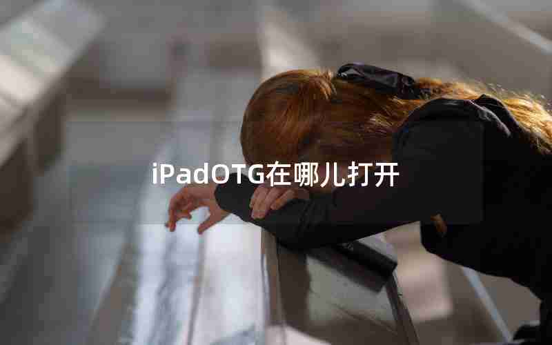 iPadOTG在哪儿打开