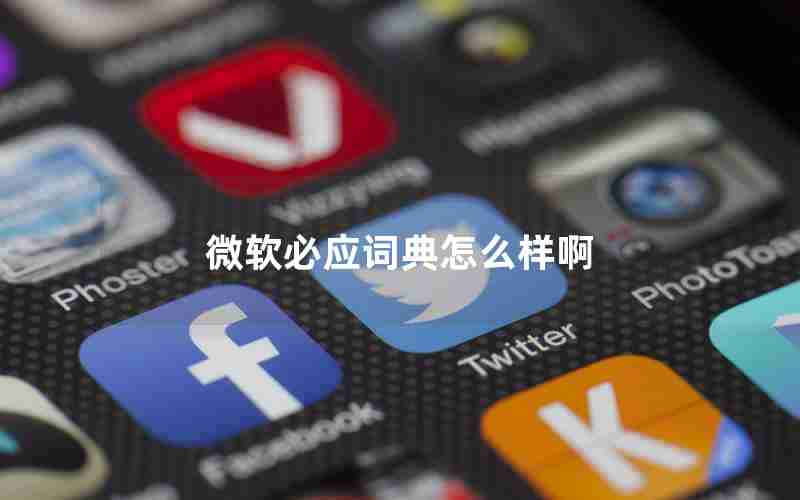 微软必应词典怎么样啊 微软必应词典怎么样啊