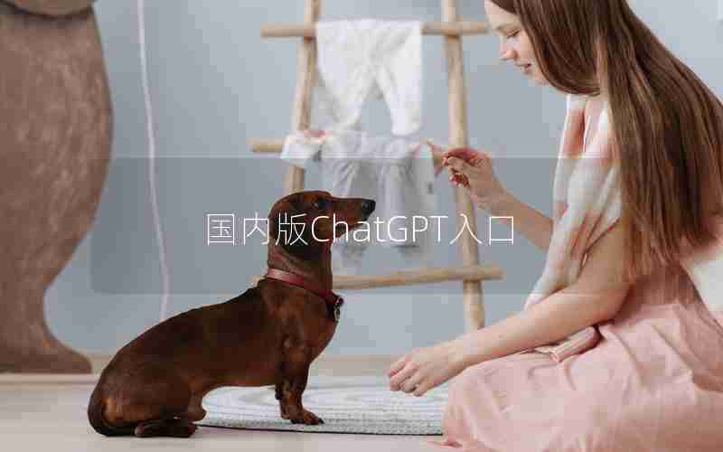 国内版ChatGPT入口