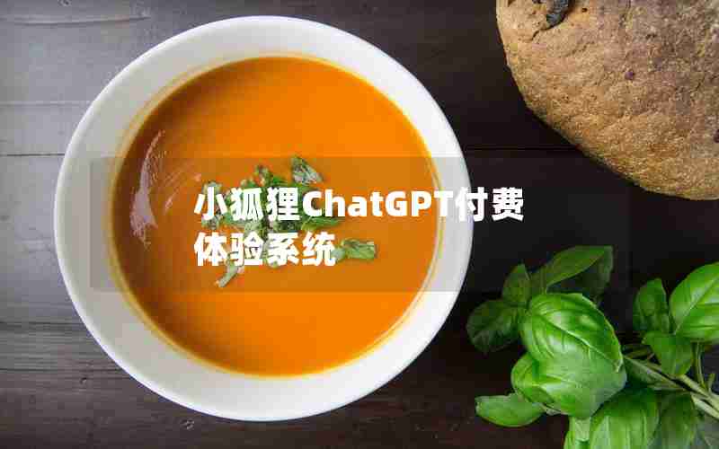 小狐狸ChatGPT付费体验系统