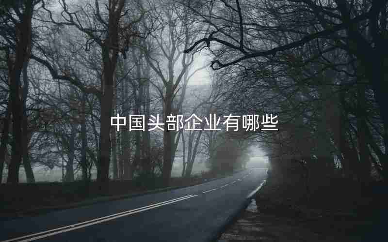 中国头部企业有哪些