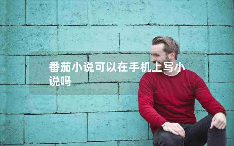 番茄小说可以在手机上写小说吗 番茄小说可以在手机上写小说吗