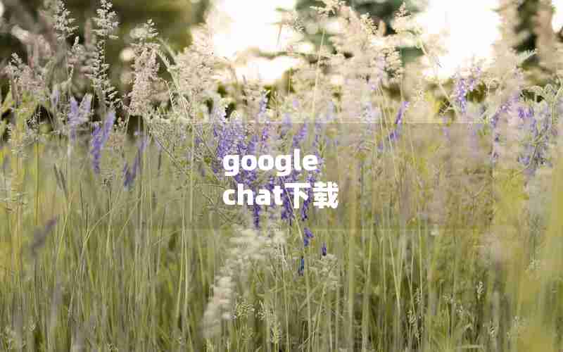 google chat下载