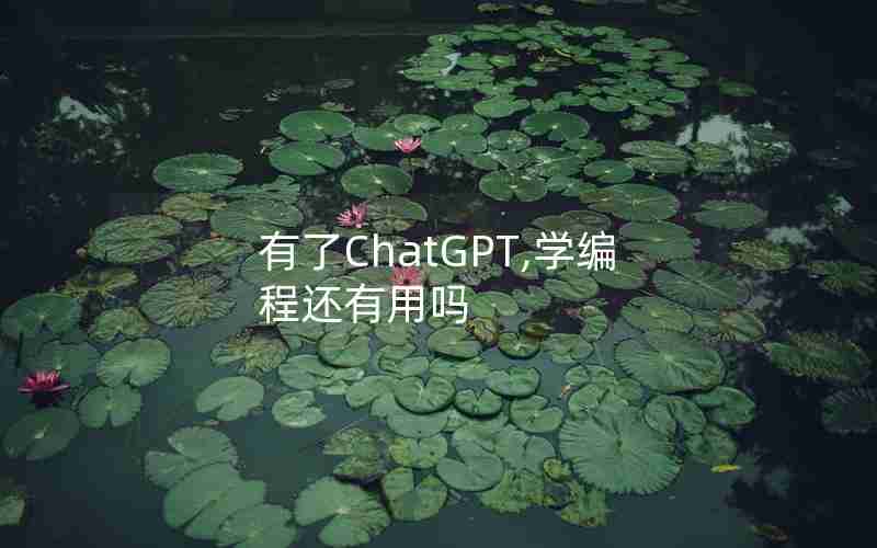 有了ChatGPT,学编程还有用吗 有了ChatGPT,学编程还有用吗