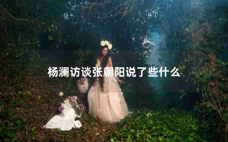 杨澜访谈张朝阳说了些什么