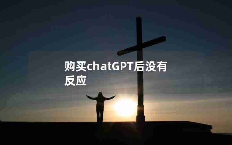 购买chatGPT后没有反应 购买chatGPT后没有反应