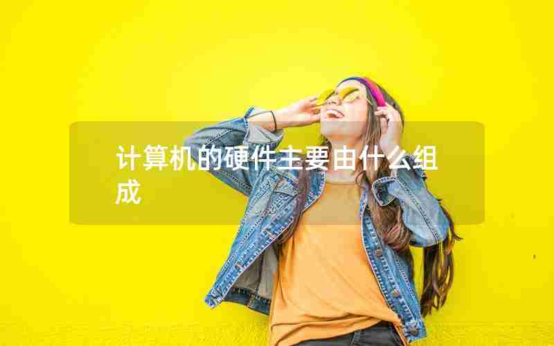 计算机的硬件主要由什么组成