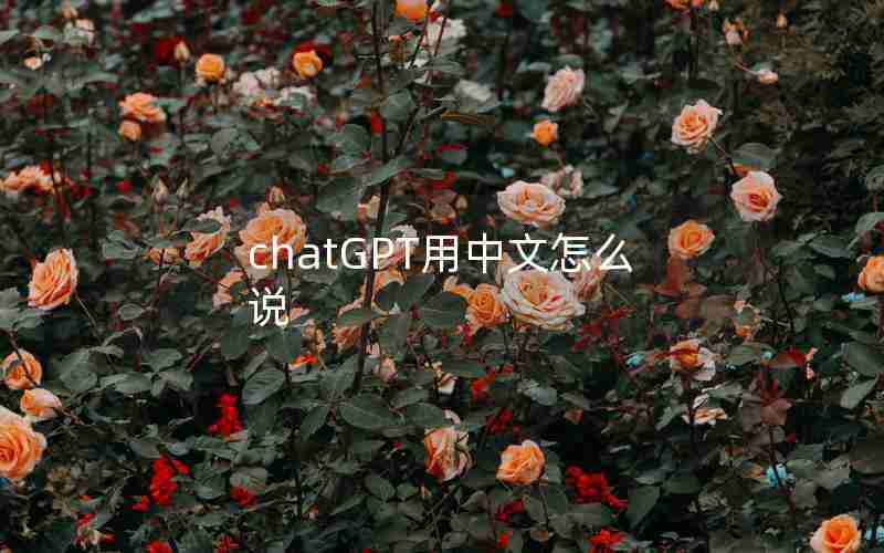 chatGPT用中文怎么说 chatGPT用中文怎么说