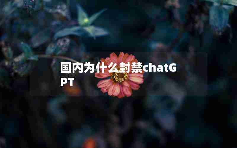 国内为什么封禁chatGPT 国内为什么封禁chatGPT
