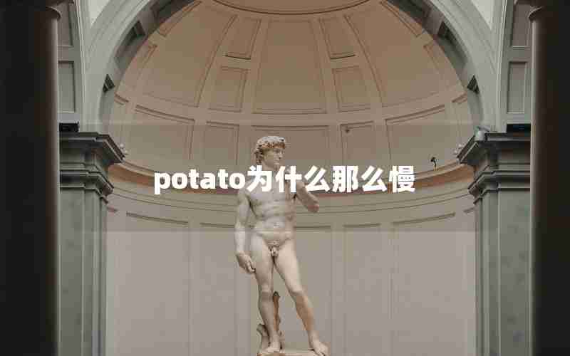 potato为什么那么慢